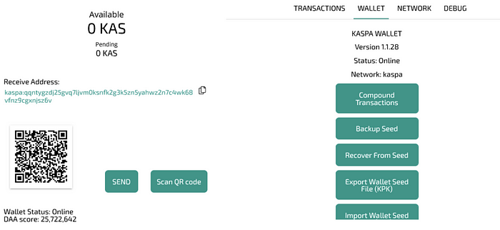 Kaspa wallet Features