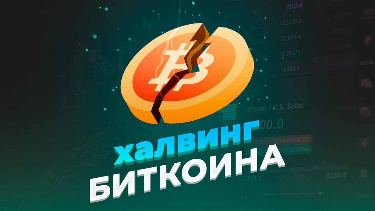 What awaits Bitcoin after the 2024...