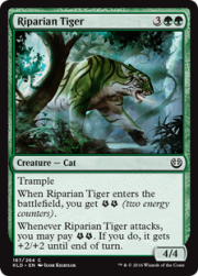 ripariantiger